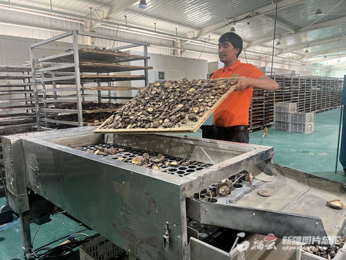 豐收節(jié)丨新疆 賦能鄉(xiāng)村振興 建設(shè)和美家園