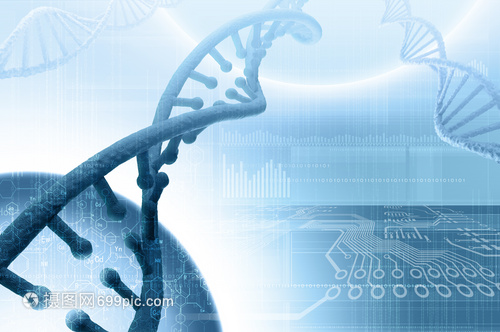 DNA分子高科技DNA分子的生物化學(xué)背景